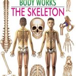 Dreamland The Skeleton (How My Body Works)