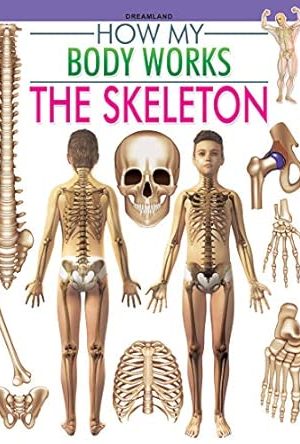 Dreamland The Skeleton (How My Body Works)