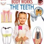 Dreamland The Teeth (How My Body Works)