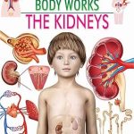 Dreamland The Kidneys (How My Body Works)