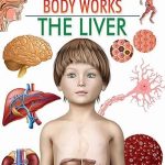 Dreamland The Liver (How My Body Works)