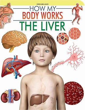 Dreamland The Liver (How My Body Works)