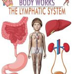 Dreamland The Lymphatic System (How My Body Works)