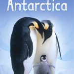 USBORNE  Antarctica