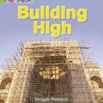 Big Cat Building High Workbook PB