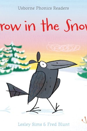 USBORNE  Crow In The Snow