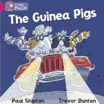 Collins Big Cat Guinea Pigs Workbook PB