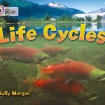 Collins Big Cat Life Cycles