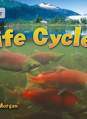 Collins Big Cat Life Cycles