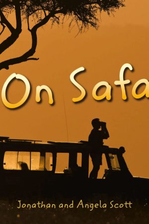 Collins Big Cat On Safari