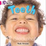 Collins Big Cat Teeth