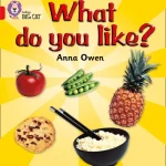 Collins Big Cat What Do You Like