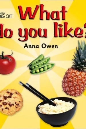 Collins Big Cat What Do You Like