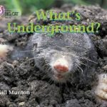 Collins Big Cat Whats Underground Workbook PB