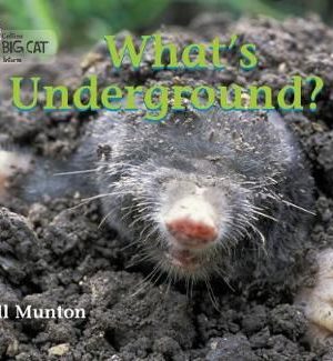 Collins Big Cat Whats Underground Workbook PB