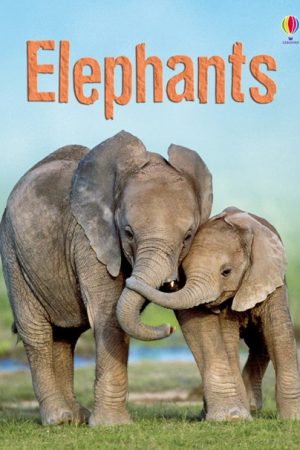 USBORNE  Elephants