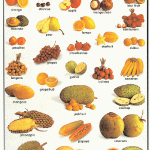 Mighty Minds FRUITS