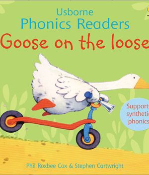 USBORNE  Goose On The Loose