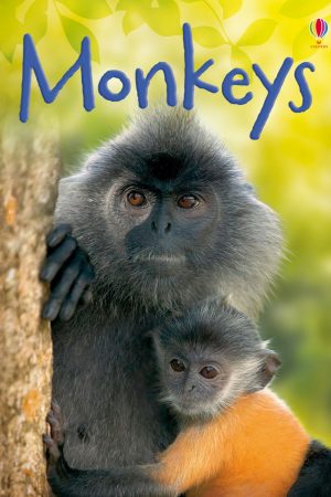USBORNE  Monkeys