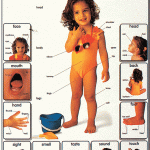 Mighty Minds MY BODY
