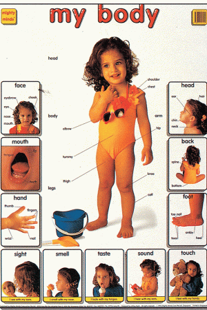 Mighty Minds MY BODY