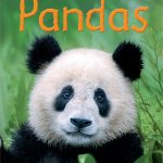 USBORNE  Pandas