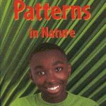 Junior African Writers Patterns in Nature