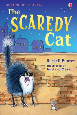 USBORNE The Scaredy Cat