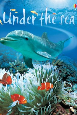 USBORNE  Under The Sea