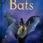 USBORNE  Bats