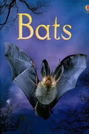 USBORNE  Bats