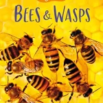 USBORNE  Bees & Wasps