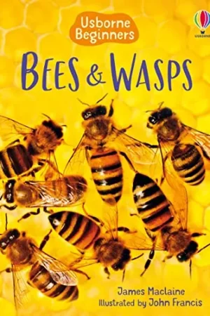 USBORNE  Bees & Wasps