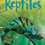USBORNE  Reptiles
