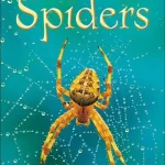 USBORNE  Spiders