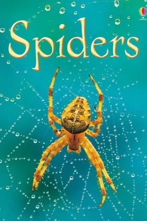USBORNE Spiders