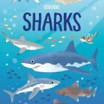 USBORNE  Sharks