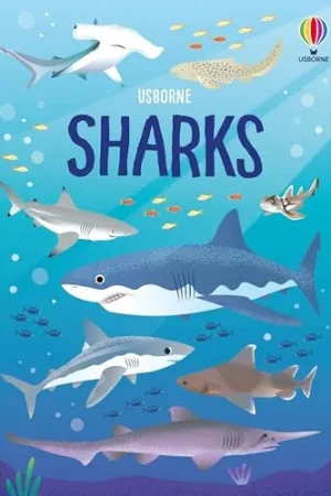USBORNE Sharks