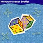 Letts  KS2 Literacy Activity Book - Year 4
