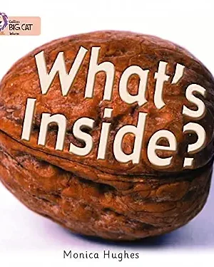 What’s inside?