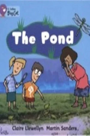 The Pond