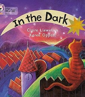 In the Dark