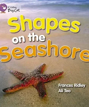 Shapes on Seashore