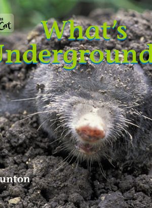 What’s Underground?