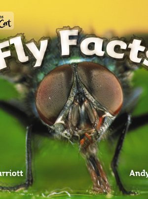 Fly Facts