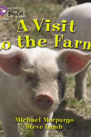 A Visit to the Farm