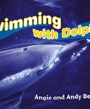 Swimming with Dolphins