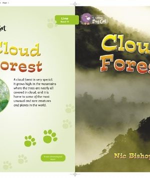 The Cloud Forest