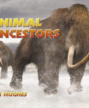 Animal Ancestors