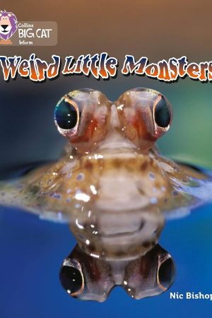 Weird Little Monsters